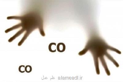 فوت 189 نفر طی سال 99 به دلیل گازگرفتگی در استان تهران