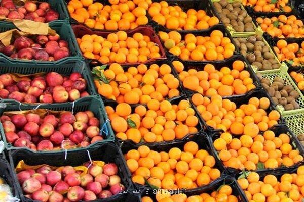 اجرایی نشدن وعده جهاد کشاورزی عامل آشفته بازار میوه شب عید