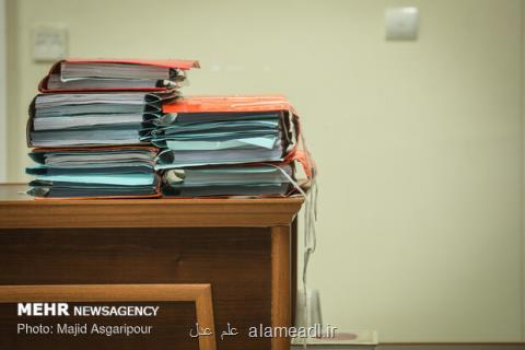 تسهیلات بانكی دریافتی صرف عیش و نوش هادی رضوی شد