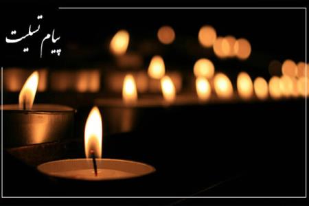 پیام تسلیت رئیس فرهنگستان علوم برای درگذشت استاد حسن انوشه